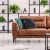 829_chp_shaggy_2_[a1].jpg