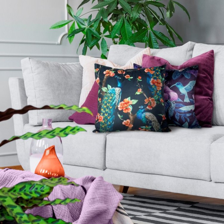 373_chp_lisha_aggie_[ar].jpg