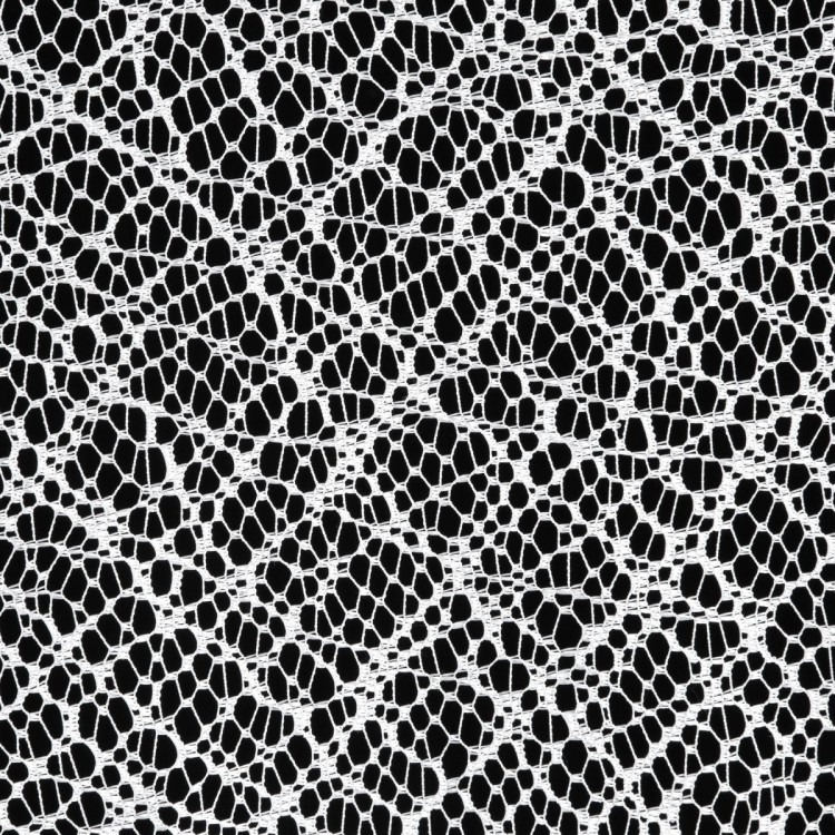 resize-ResizeImageFunction-1A5MHZIEG76EFs.jpg