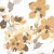 5c01a3189dff744c652c597ba6bc5c06