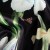 2929e2dfdcbe7581bc4e3db55f679ed9