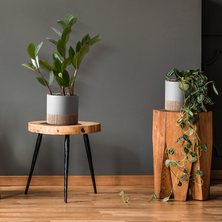 2d7f71b675e876bc2c6e2f6c631772ee