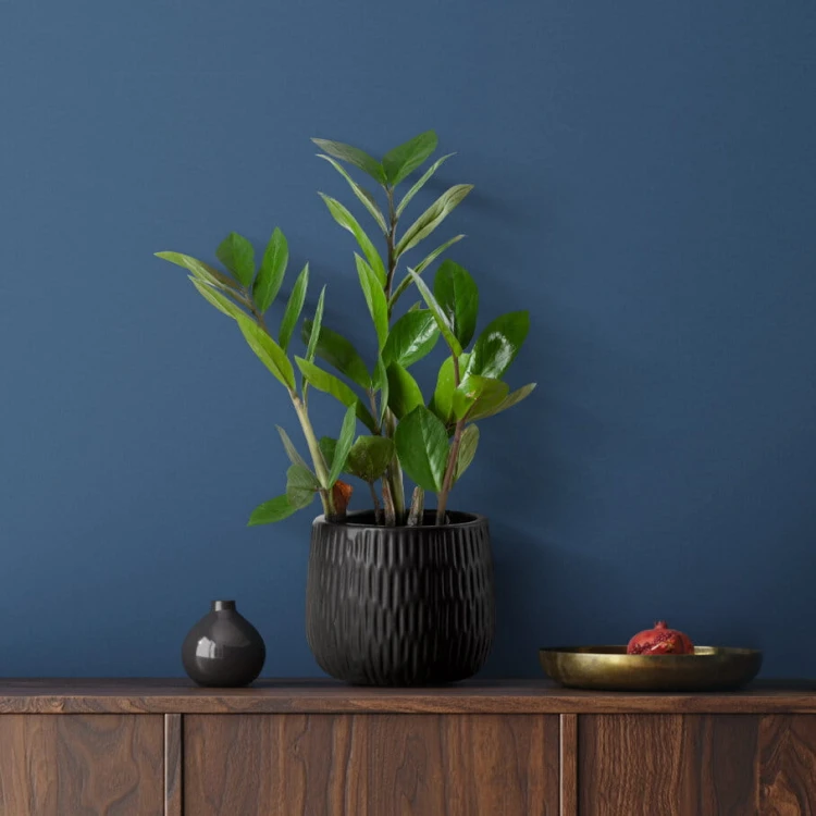 7e3f3b09b548030f4434762bfd97d257