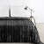 459302-NARZUTA D91 BLINK 1 200 X 220 CM CZARNY[0].jpg