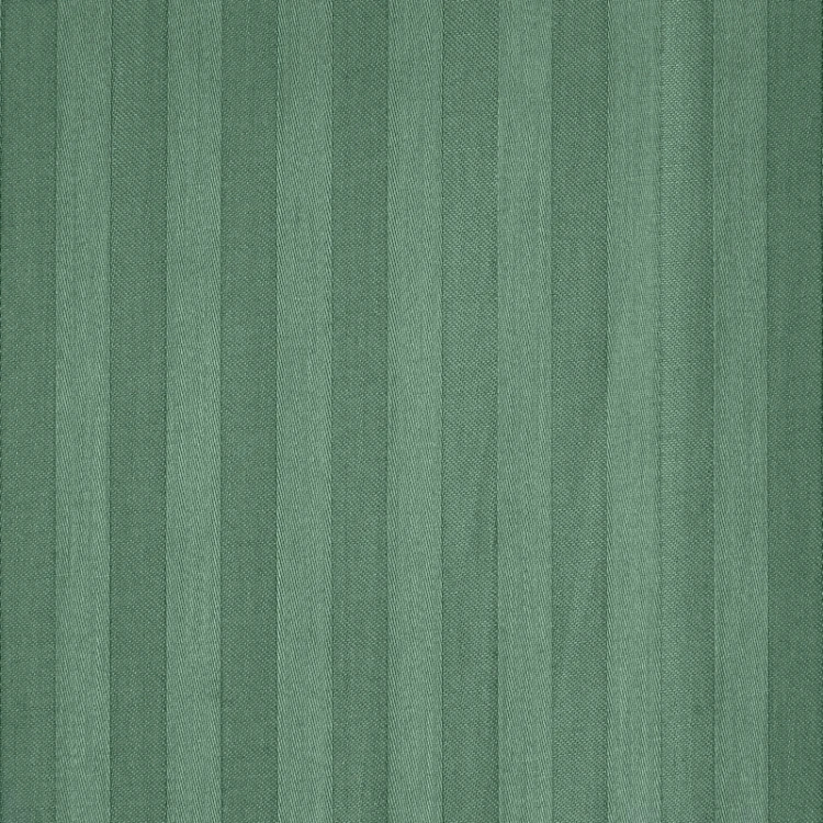 ZgEvJSd