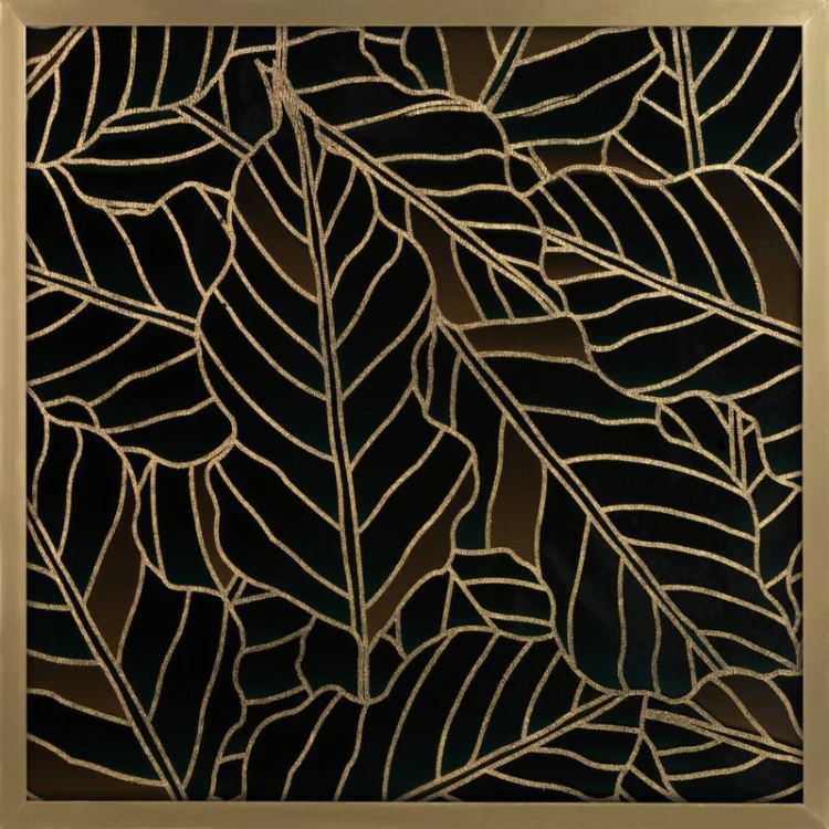 ZxVmQc6