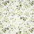 463360-5903571688668-Posciel_bawelna_220x200_MILI_bialy-6