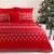 430560-5903571429506-Posciel_mikrofibra_160x200_swieta_NOEL_czerwony-2