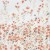 422420-5903571376022-Posciel_bawelna_220x200_SONIA_bialy-6