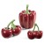 486383-5903571842497-Figurka_SIMON_fi_15x21_czerwony+zielony-2