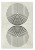 489609-5903571868886-Dywan_AURRA1_kremowy_160x230-2