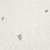 492102-5903571886958-Recznik_BLOOM_bialy_70x140-2